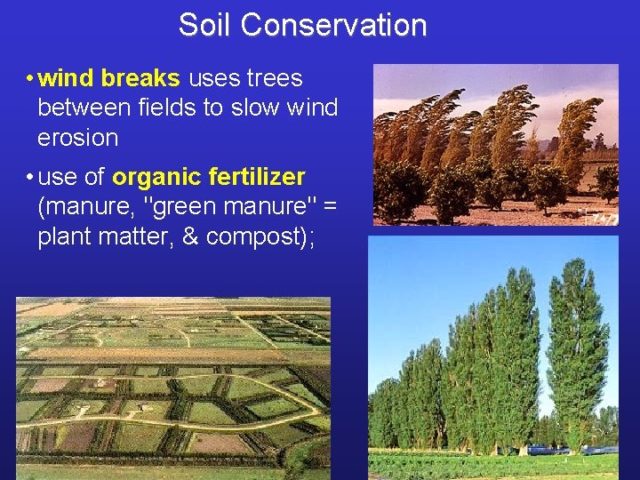 Soil Conservation • wind breaks uses trees between fields to slow wind erosion •