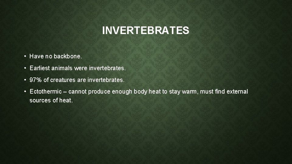 ANIMALS Learning the difference between mammals reptiles amphibians