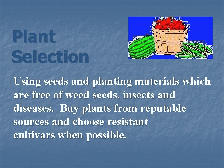 Plant Selection Using seeds and planting materials which are free of weed seeds, insects