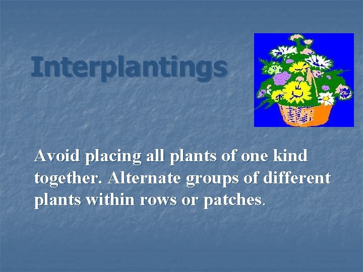 Interplantings Avoid placing all plants of one kind together. Alternate groups of different plants