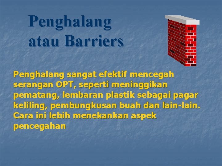 Penghalang atau Barriers Penghalang sangat efektif mencegah serangan OPT, seperti meninggikan pematang, lembaran plastik