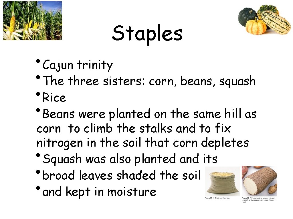 Staples • Cajun trinity • The three sisters: corn, beans, squash • Rice •