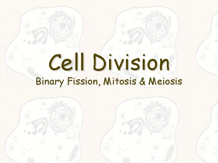 Cell Division Binary Fission, Mitosis & Meiosis 