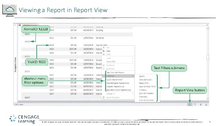 Viewing a Report in Report View © 2017 Cengage Learning. All Rights Reserved. May