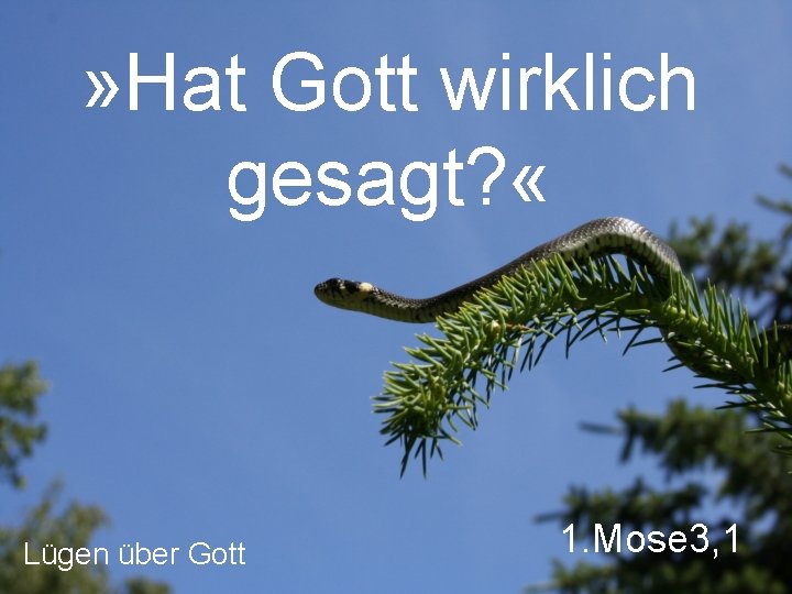 » Hat Gott wirklich gesagt? « Lügen über Gott 1. Mose 3, 1 