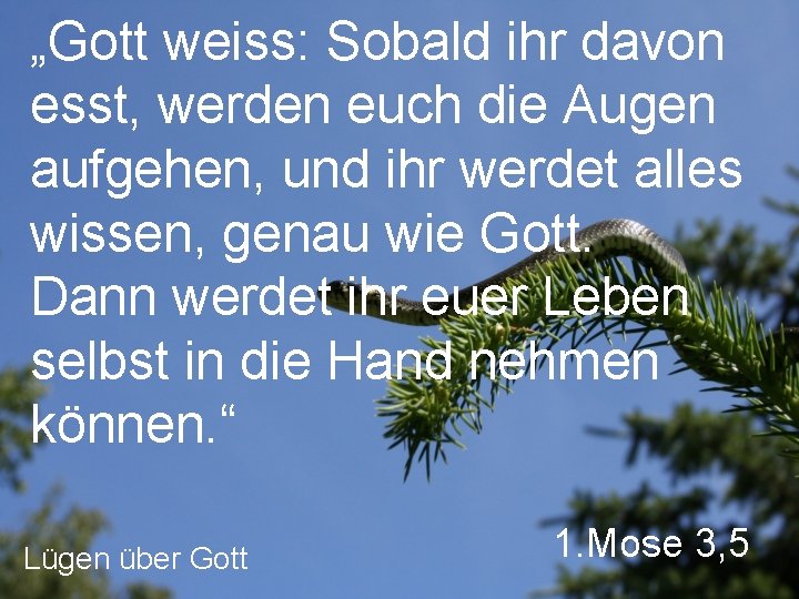 „Gott weiss: Sobald ihr davon esst, werden euch die Augen aufgehen, und ihr werdet