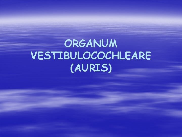 ORGANUM VESTIBULOCOCHLEARE (AURIS) 
