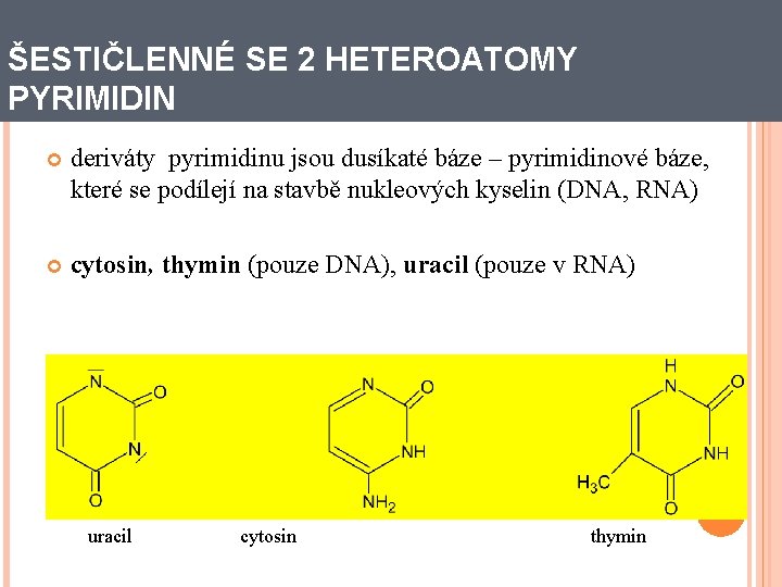 ŠESTIČLENNÉ SE 2 HETEROATOMY PYRIMIDIN deriváty pyrimidinu jsou dusíkaté báze – pyrimidinové báze, které