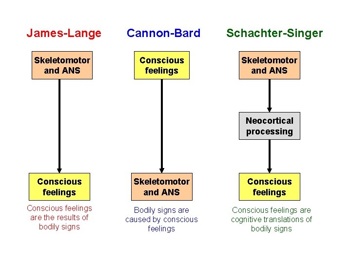 James-Lange Cannon-Bard Skeletomotor and ANS Conscious feelings Schachter-Singer Skeletomotor and ANS Neocortical processing Conscious