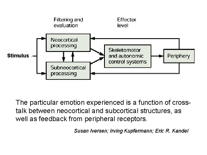 Stimulus The particular emotion experienced is a function of crosstalk between neocortical and subcortical