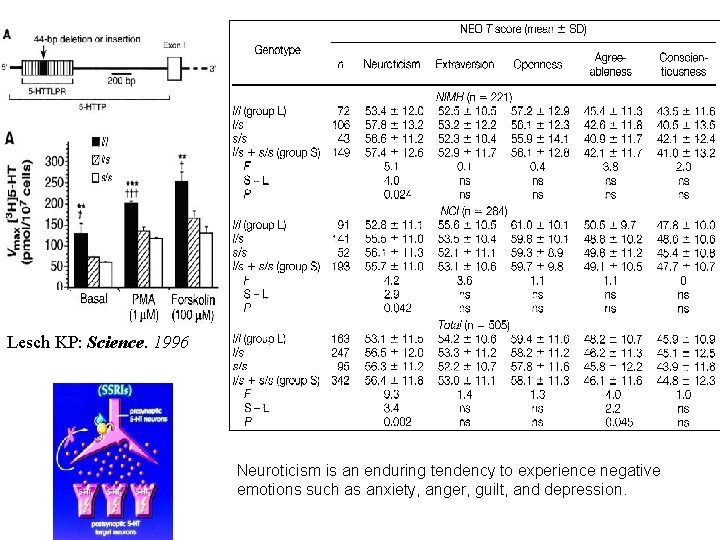 Lesch KP: Science. 1996 Neuroticism is an enduring tendency to experience negative emotions such