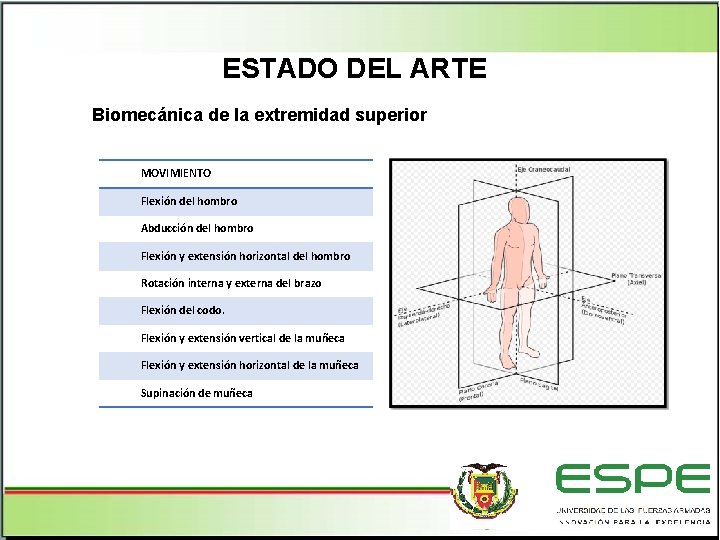 ESTADO DEL ARTE Biomecánica de la extremidad superior MOVIMIENTO Flexión del hombro Abducción del