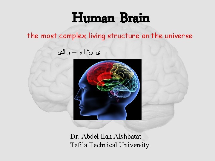 Human Brain the most complex living structure on the universe ﻭ ﺍﻟی -- ی