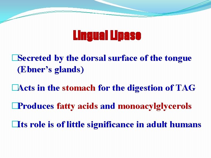 Lingual Lipase �Secreted by the dorsal surface of the tongue (Ebner’s glands) �Acts in