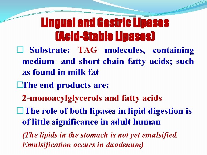 Lingual and Gastric Lipases (Acid-Stable Lipases) � Substrate: TAG molecules, containing medium- and short-chain