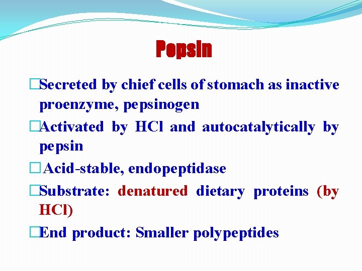 Pepsin �Secreted by chief cells of stomach as inactive proenzyme, pepsinogen �Activated by HCl