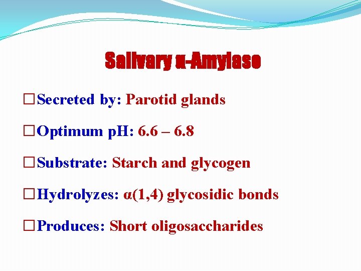 Salivary α-Amylase �Secreted by: Parotid glands �Optimum p. H: 6. 6 – 6. 8