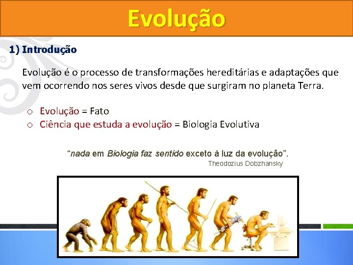 Evolução 1) Introdução Evolução é o processo de transformações hereditárias e adaptações que vem