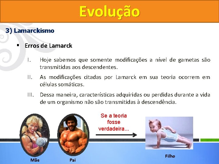Evolução 3) Lamarckismo § Erros de Lamarck I. Hoje sabemos que somente modificações a