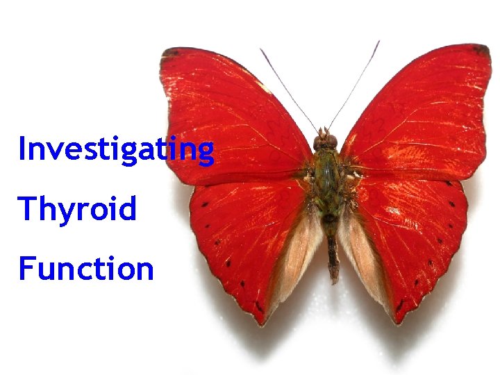 Investigating Thyroid Function 