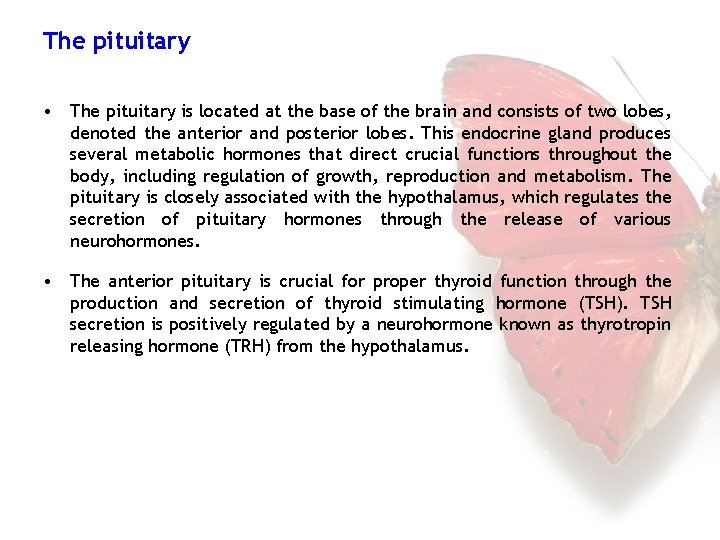 The pituitary • The pituitary is located at the base of the brain and
