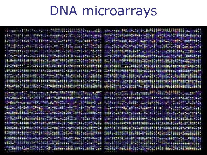 DNA microarrays 30 December 2021 13 