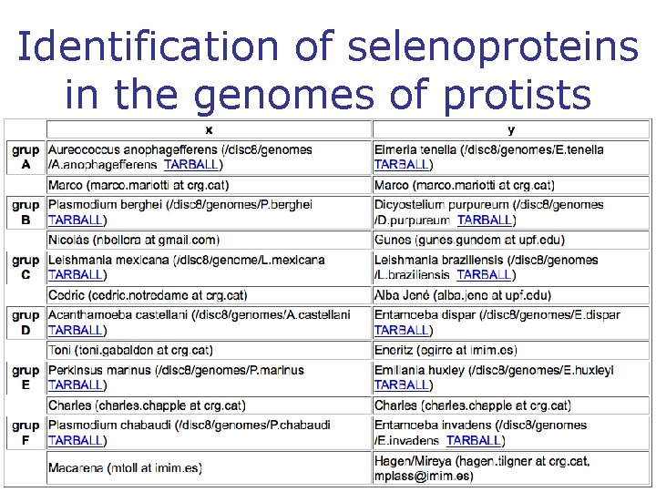 Identification of selenoproteins in the genomes of protists 