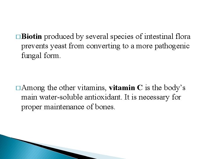 � Biotin produced by several species of intestinal flora prevents yeast from converting to � Biotin produced by several species of intestinal flora prevents yeast from converting to