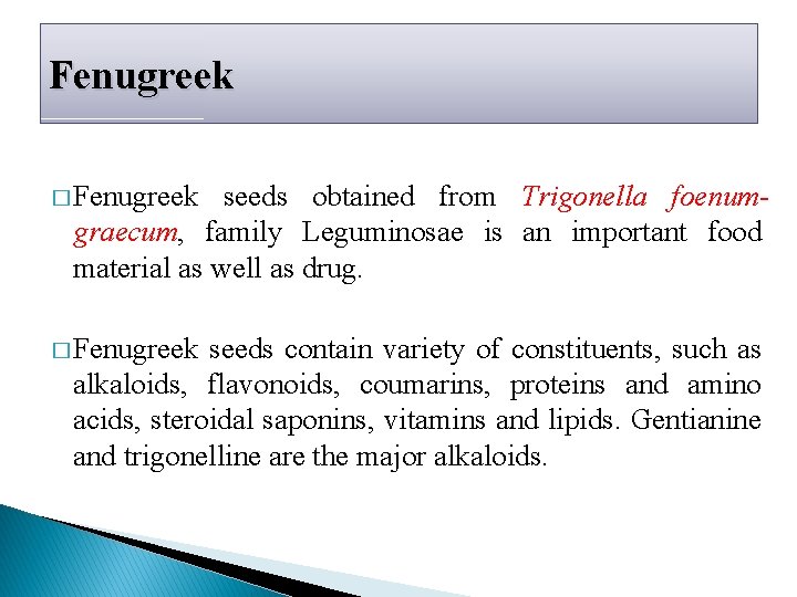 Fenugreek � Fenugreek seeds obtained from Trigonella foenumgraecum, family Leguminosae is an important food Fenugreek � Fenugreek seeds obtained from Trigonella foenumgraecum, family Leguminosae is an important food