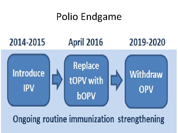 Polio Endgame 