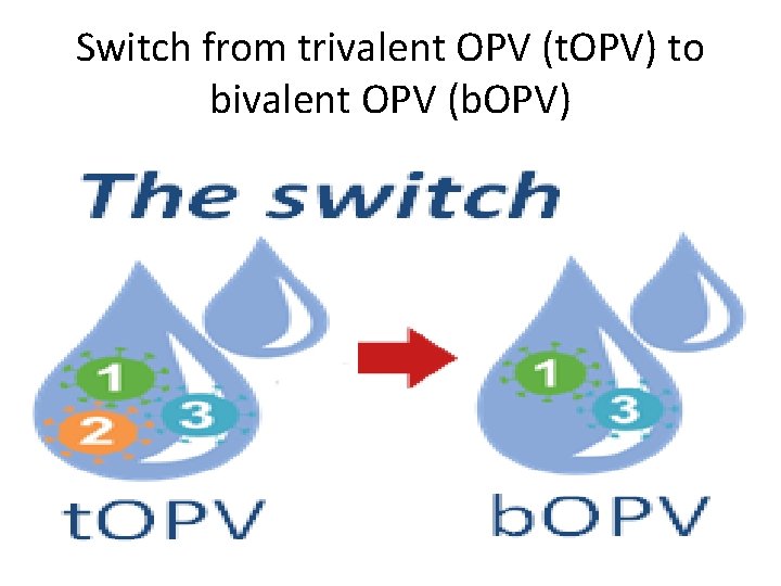 Switch from trivalent OPV (t. OPV) to bivalent OPV (b. OPV) 