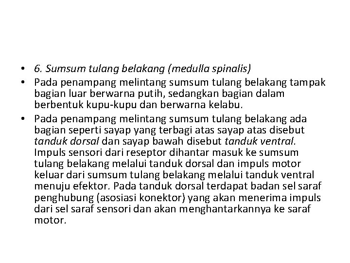  • 6. Sumsum tulang belakang (medulla spinalis) • Pada penampang melintang sumsum tulang