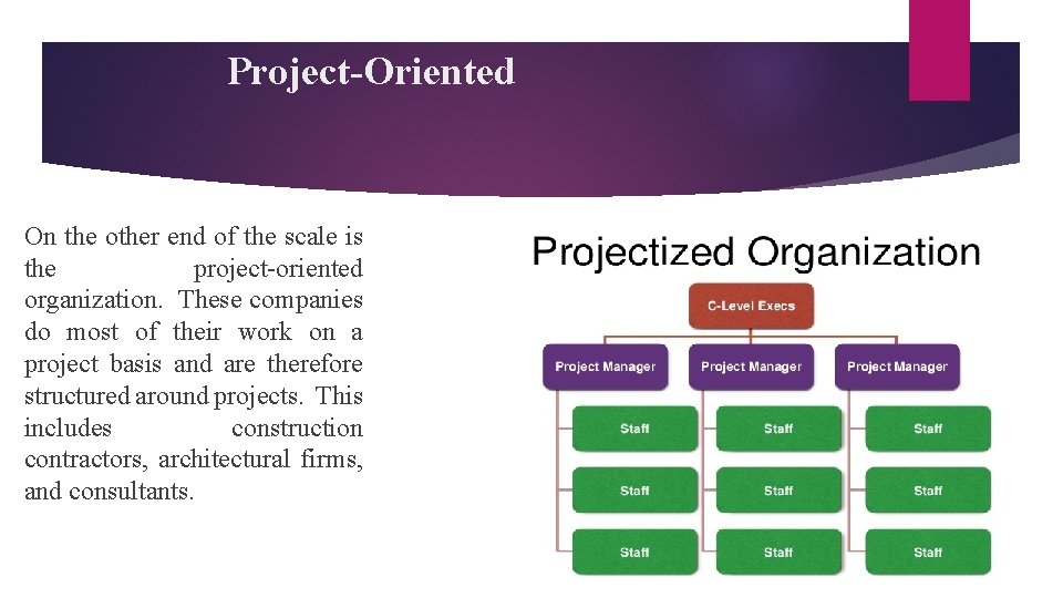 Project-Oriented On the other end of the scale is the project-oriented organization. These companies Project-Oriented On the other end of the scale is the project-oriented organization. These companies