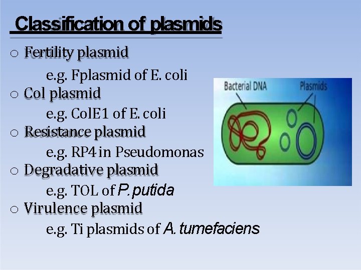 Classification of plasmids o Fertility plasmid e. g. Fplasmid of E. coli o Col