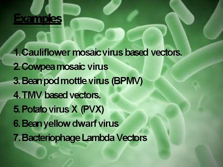 Examples 1. Cauliflower mosaic virus based vectors. 2. Cowpea mosaic virus 3. Bean pod