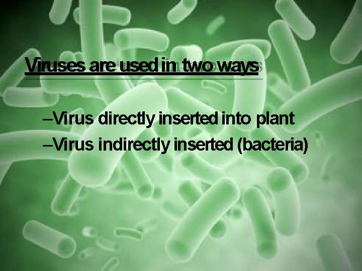 Viruses are used in two ways –Virus directly inserted into plant –Virus indirectly inserted