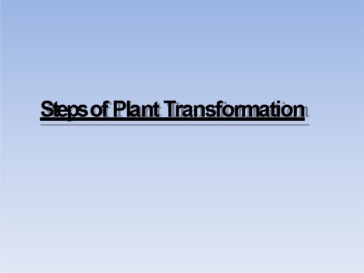 Stepsof Plant Transformation 