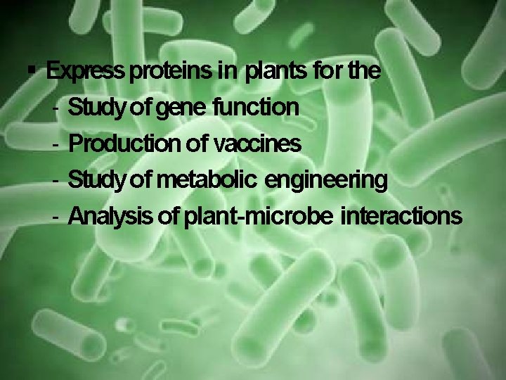  Express proteins in plants for the - Study of gene function - Production