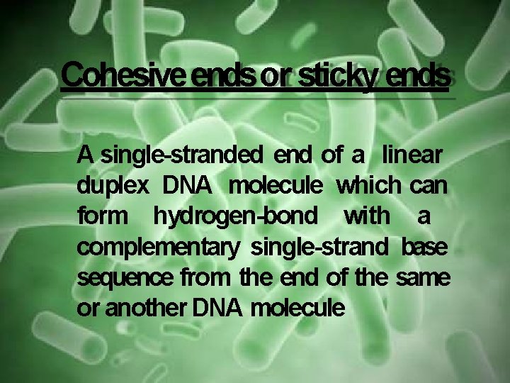 Cohesive ends or sticky ends A single-stranded end of a linear duplex DNA molecule