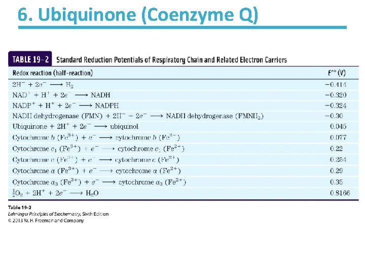 6. Ubiquinone (Coenzyme Q) 6. Ubiquinone (Coenzyme Q)