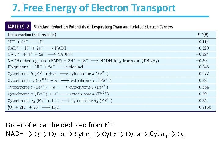 7. Free Energy of Electron Transport Order of e- can be deduced from E’°: 7. Free Energy of Electron Transport Order of e- can be deduced from E’°: