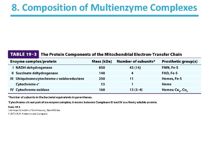 8. Composition of Multienzyme Complexes 8. Composition of Multienzyme Complexes
