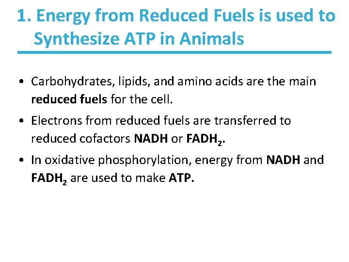1. Energy from Reduced Fuels is used to Synthesize ATP in Animals • Carbohydrates, 1. Energy from Reduced Fuels is used to Synthesize ATP in Animals • Carbohydrates,