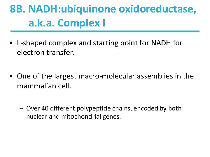 8 B. NADH: ubiquinone oxidoreductase, a. k. a. Complex I • L-shaped complex and 8 B. NADH: ubiquinone oxidoreductase, a. k. a. Complex I • L-shaped complex and