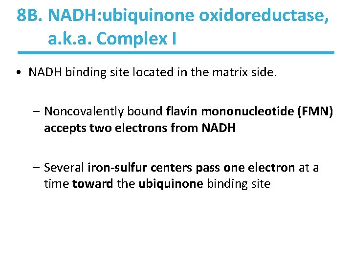 8 B. NADH: ubiquinone oxidoreductase, a. k. a. Complex I • NADH binding site 8 B. NADH: ubiquinone oxidoreductase, a. k. a. Complex I • NADH binding site