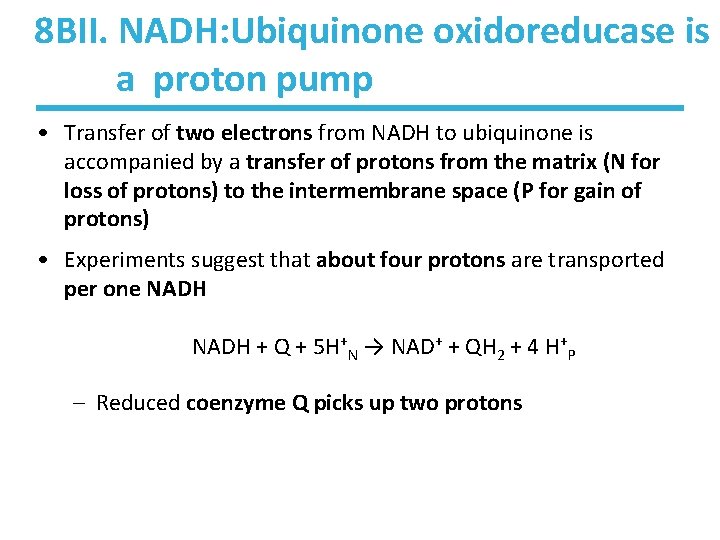 8 BII. NADH: Ubiquinone oxidoreducase is a proton pump • Transfer of two electrons 8 BII. NADH: Ubiquinone oxidoreducase is a proton pump • Transfer of two electrons