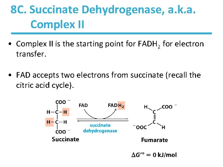 8 C. Succinate Dehydrogenase, a. k. a. Complex II • Complex II is the 8 C. Succinate Dehydrogenase, a. k. a. Complex II • Complex II is the