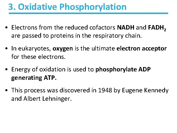 3. Oxidative Phosphorylation • Electrons from the reduced cofactors NADH and FADH 2 are 3. Oxidative Phosphorylation • Electrons from the reduced cofactors NADH and FADH 2 are