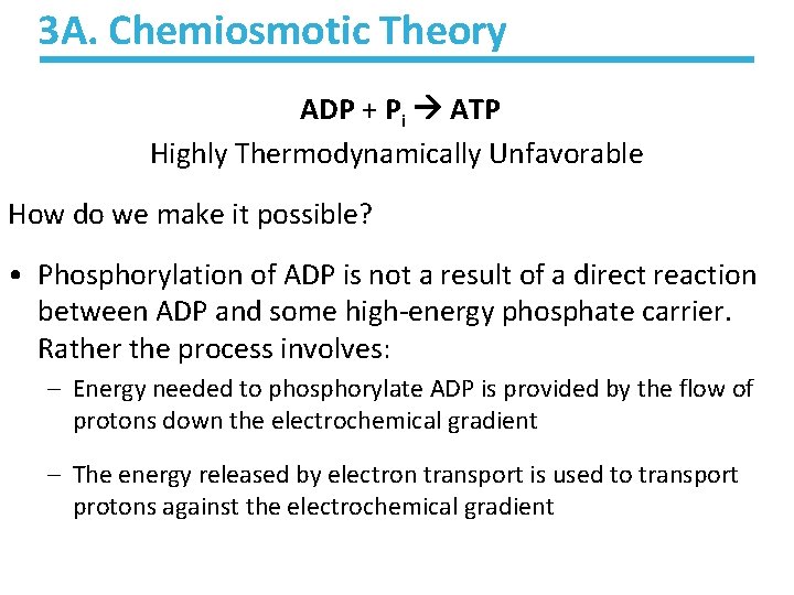 3 A. Chemiosmotic Theory ADP + Pi ATP Highly Thermodynamically Unfavorable How do we 3 A. Chemiosmotic Theory ADP + Pi ATP Highly Thermodynamically Unfavorable How do we