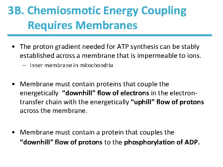 3 B. Chemiosmotic Energy Coupling Requires Membranes • The proton gradient needed for ATP 3 B. Chemiosmotic Energy Coupling Requires Membranes • The proton gradient needed for ATP